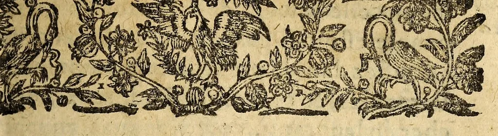 An illustration from Le mercure françois, ou, La suitte de l'histoire de la paix. : Commençant l'an M. D.CV. pour suitte du septenaire du D. Cayer, & finissant au sacre du tres-Chrestien roy de France & de Nauarre Loys XIII. [i.e. Cayet. From 1605 to 1635 by J. and E. Richer, and continued to 1644 by J. Renaudot], 1611, leaf 353