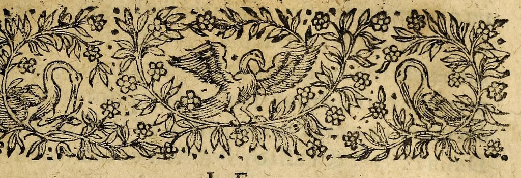 An illustration from Le mercure françois, ou, La suitte de l'histoire de la paix. : Commençant l'an M. D.CV. pour suitte du septenaire du D. Cayer, & finissant au sacre du tres-Chrestien roy de France & de Nauarre Loys XIII. [i.e. Cayet. From 1605 to 1635 by J. and E. Richer, and continued to 1644 by J. Renaudot], 1611, leaf 41