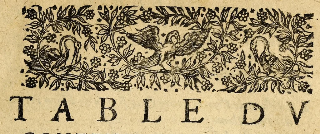 An illustration from Le mercure françois, ou, La suitte de l'histoire de la paix. : Commençant l'an M. D.CV. pour suitte du septenaire du D. Cayer, & finissant au sacre du tres-Chrestien roy de France & de Nauarre Loys XIII. [i.e. Cayet. From 1605 to 1635 by J. and E. Richer, and continued to 1644 by J. Renaudot], 1611, leaf 9