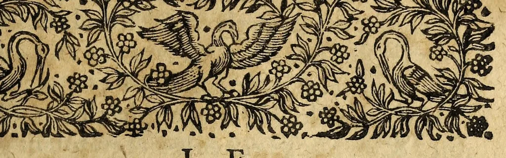 An illustration from Le mercure françois, ou, La suitte de l'histoire de la paix. : Commençant l'an M. D.CV. pour suitte du septenaire du D. Cayer, & finissant au sacre du tres-Chrestien roy de France & de Nauarre Loys XIII. [i.e. Cayet. From 1605 to 1635 by J. and E. Richer, and continued to 1644 by J. Renaudot], 1611, leaf 43