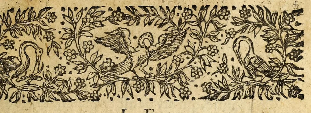 An illustration from Le mercure françois, ou, La suitte de l'histoire de la paix. : Commençant l'an M. D.CV. pour suitte du septenaire du D. Cayer, & finissant au sacre du tres-Chrestien roy de France & de Nauarre Loys XIII. [i.e. Cayet. From 1605 to 1635 by J. and E. Richer, and continued to 1644 by J. Renaudot], 1611, leaf 35