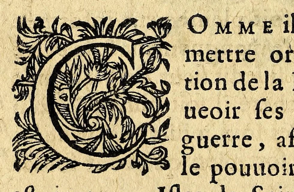 An illustration from Le mercure françois, ou, La suitte de l'histoire de la paix. : Commençant l'an M. D.CV. pour suitte du septenaire du D. Cayer, & finissant au sacre du tres-Chrestien roy de France & de Nauarre Loys XIII. [i.e. Cayet. From 1605 to 1635 by J. and E. Richer, and continued to 1644 by J. Renaudot], 1611, leaf 140