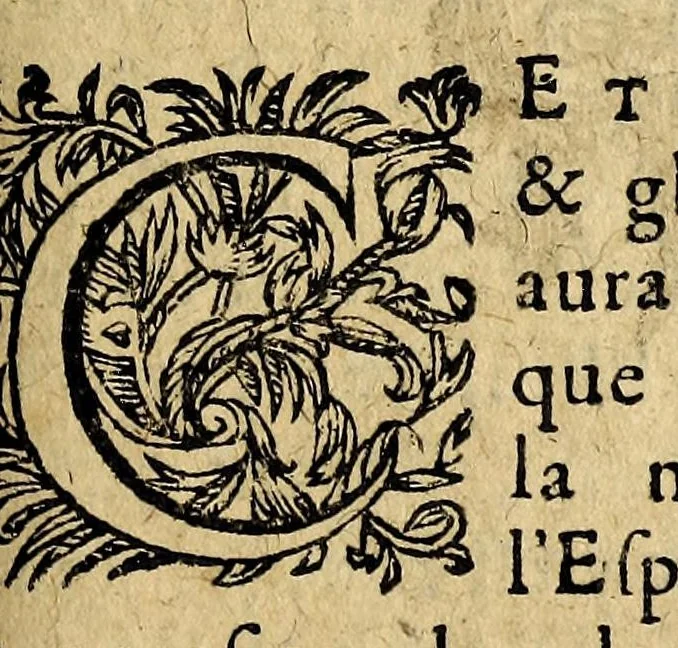 An illustration from Le mercure françois, ou, La suitte de l'histoire de la paix. : Commençant l'an M. D.CV. pour suitte du septenaire du D. Cayer, & finissant au sacre du tres-Chrestien roy de France & de Nauarre Loys XIII. [i.e. Cayet. From 1605 to 1635 by J. and E. Richer, and continued to 1644 by J. Renaudot], 1611, leaf 337