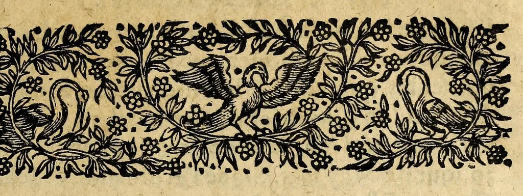 An illustration from Le mercure françois, ou, La suitte de l'histoire de la paix. : Commençant l'an M. D.CV. pour suitte du septenaire du D. Cayer, & finissant au sacre du tres-Chrestien roy de France & de Nauarre Loys XIII. [i.e. Cayet. From 1605 to 1635 by J. and E. Richer, and continued to 1644 by J. Renaudot], 1611, leaf 47