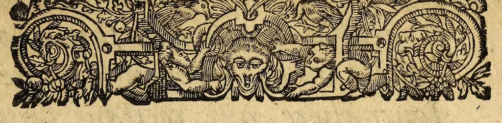 An illustration from Le mercure françois, ou, La suitte de l'histoire de la paix. : Commençant l'an M. D.CV. pour suitte du septenaire du D. Cayer, & finissant au sacre du tres-Chrestien roy de France & de Nauarre Loys XIII. [i.e. Cayet. From 1605 to 1635 by J. and E. Richer, and continued to 1644 by J. Renaudot], 1611, leaf 9