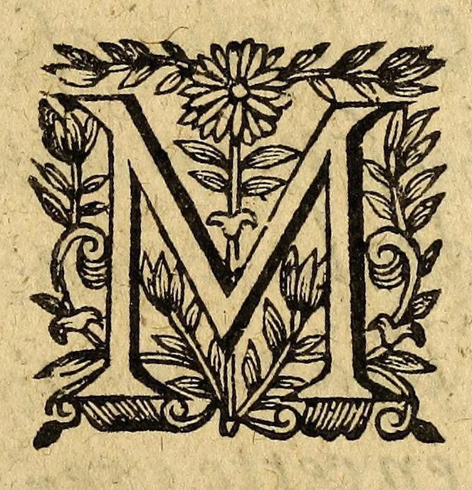 An illustration from Le mercure françois, ou, La suitte de l'histoire de la paix. : Commençant l'an M. D.CV. pour suitte du septenaire du D. Cayer, & finissant au sacre du tres-Chrestien roy de France & de Nauarre Loys XIII. [i.e. Cayet. From 1605 to 1635 by J. and E. Richer, and continued to 1644 by J. Renaudot], 1611, leaf 9