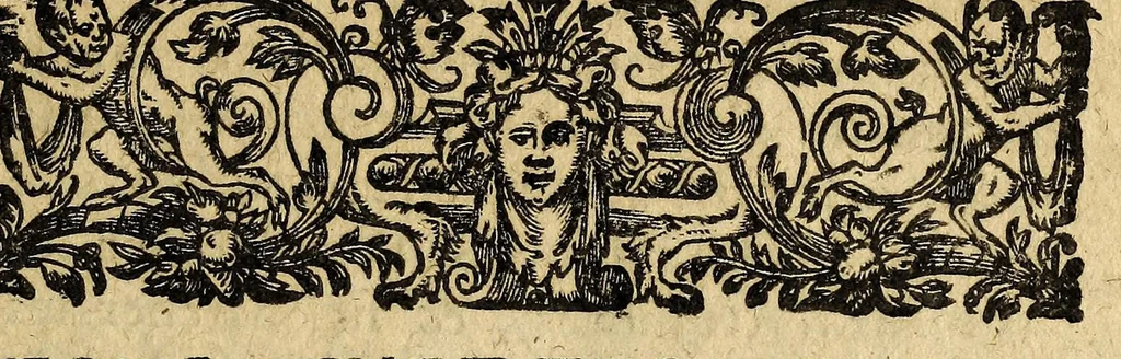 An illustration from Le mercure françois, ou, La suitte de l'histoire de la paix. : Commençant l'an M. D.CV. pour suitte du septenaire du D. Cayer, & finissant au sacre du tres-Chrestien roy de France & de Nauarre Loys XIII. [i.e. Cayet. From 1605 to 1635 by J. and E. Richer, and continued to 1644 by J. Renaudot], 1611, leaf 499