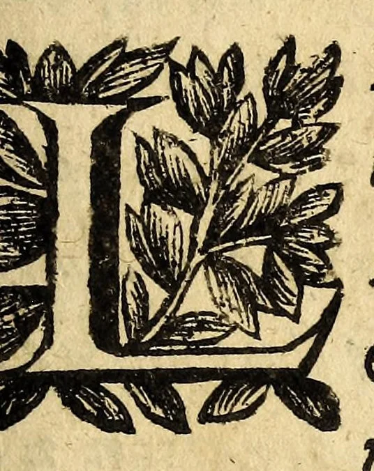 An illustration from Le mercure françois, ou, La suitte de l'histoire de la paix. : Commençant l'an M. D.CV. pour suitte du septenaire du D. Cayer, & finissant au sacre du tres-Chrestien roy de France & de Nauarre Loys XIII. [i.e. Cayet. From 1605 to 1635 by J. and E. Richer, and continued to 1644 by J. Renaudot], 1611, leaf 291