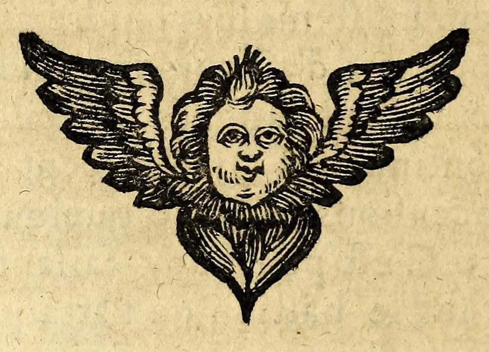An illustration from Le mercure françois, ou, La suitte de l'histoire de la paix. : Commençant l'an M. D.CV. pour suitte du septenaire du D. Cayer, & finissant au sacre du tres-Chrestien roy de France & de Nauarre Loys XIII. [i.e. Cayet. From 1605 to 1635 by J. and E. Richer, and continued to 1644 by J. Renaudot], 1611, leaf 406