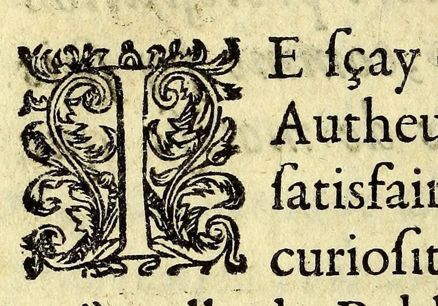 An illustration from Le mercure indien, ou Le tresor des Indes. : Premiere [-seconde] partie. ..., 1667, leaf 16