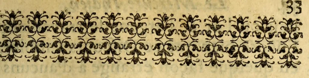 An illustration from Le mercure indien, ou Le tresor des Indes. : Premiere [-seconde] partie. ..., 1667, leaf 55
