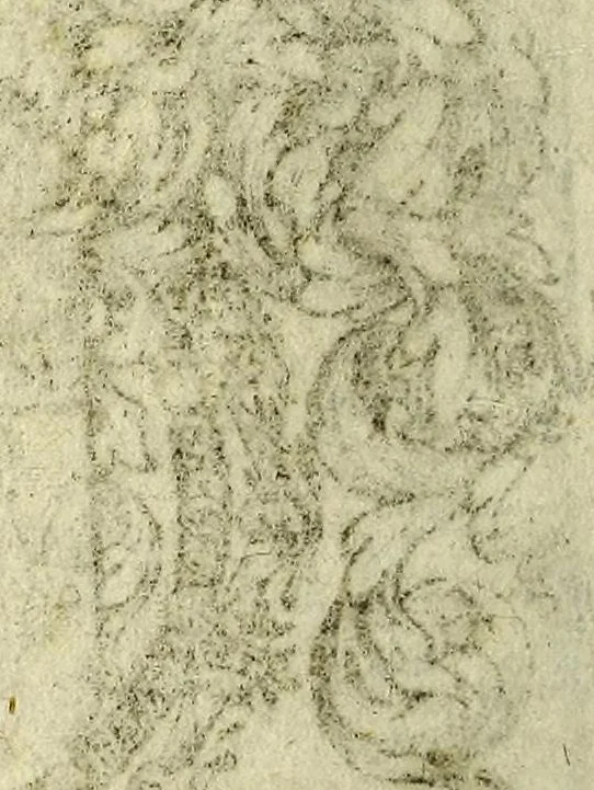 An illustration from Le mercure indien, ou Le tresor des Indes. : Premiere [-seconde] partie. ..., 1667, leaf 8