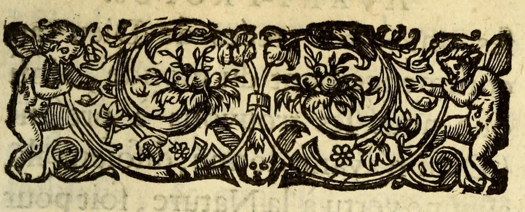 An illustration from Le mercure indien, ou Le tresor des Indes. : Premiere [-seconde] partie. ..., 1667, leaf 89