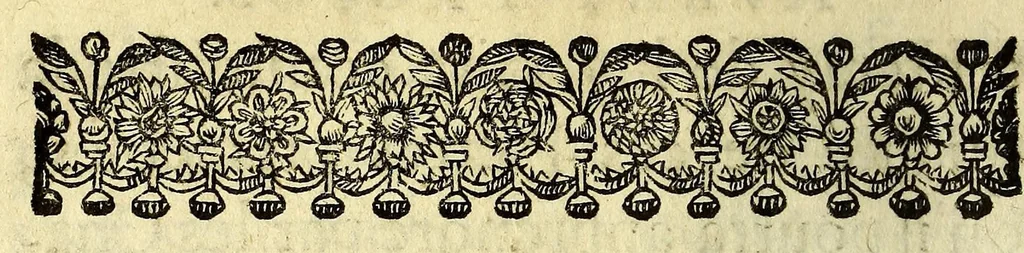 An illustration from Le mercure indien, ou Le tresor des Indes. : Premiere [-seconde] partie. ..., 1667, leaf 96