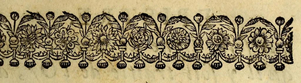 An illustration from Le mercure indien, ou Le tresor des Indes. : Premiere [-seconde] partie. ..., 1668, leaf 11