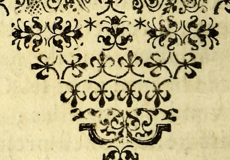 An illustration from Le mercure indien, ou Le tresor des Indes. : Premiere [-seconde] partie. ..., 1668, leaf 206