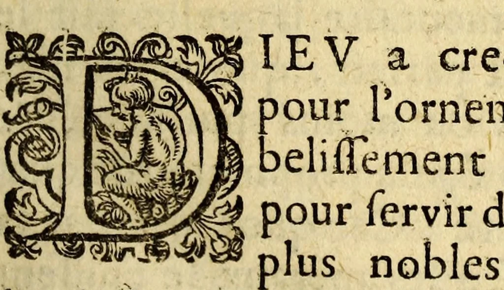 An illustration from Le mercure indien, ou Le tresor des Indes. : Premiere [-seconde] partie. ..., 1668, leaf 25