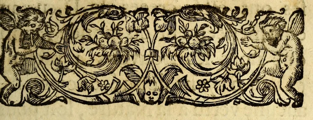 An illustration from Le mercure indien, ou Le tresor des Indes. : Premiere [-seconde] partie. ..., 1668, leaf 95