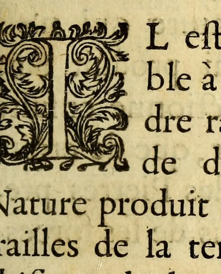 An illustration from Le mercure indien, ou Le tresor des Indes. : Premiere [-seconde] partie. ..., 1668, leaf 95