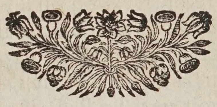 An illustration from Le messager celeste; contenant toutes les nouvelles découvertes qui ont esté faites dans les astres depuis l'invention de la lunette d'approche, avec des reflexions sur les utilitez qu'on en peut tirer pour la conservation de la vie. Premier extraordinaire du Journal de medecine, publié le premier octobre 1681, 1681, leaf 206