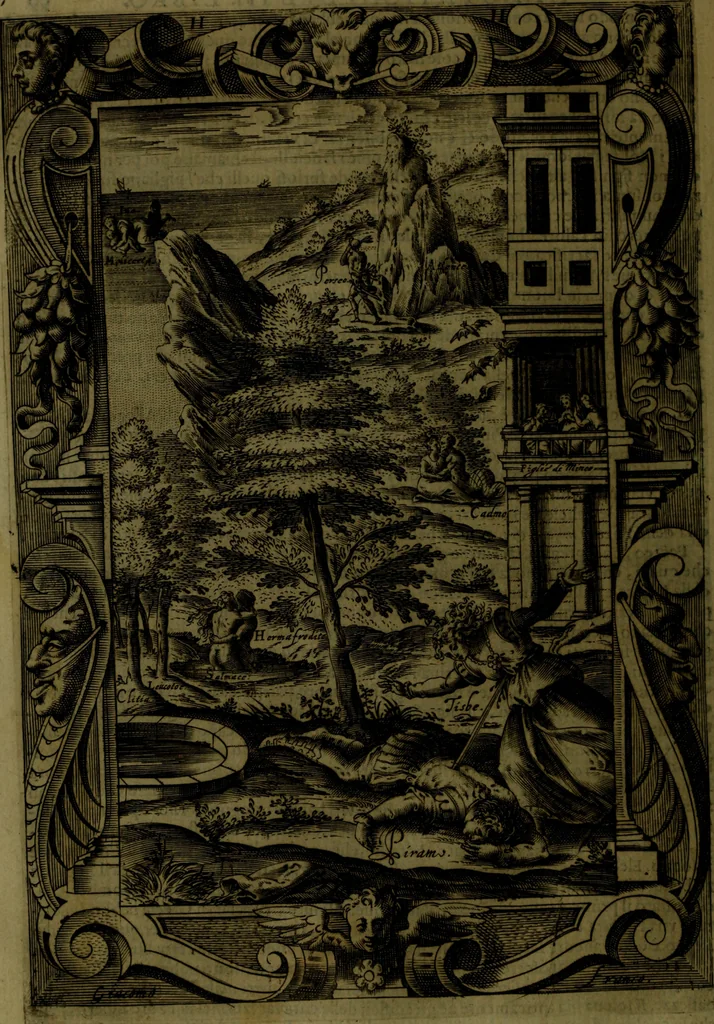 An illustration from Le Metamorfosi, 1584, leaf 119