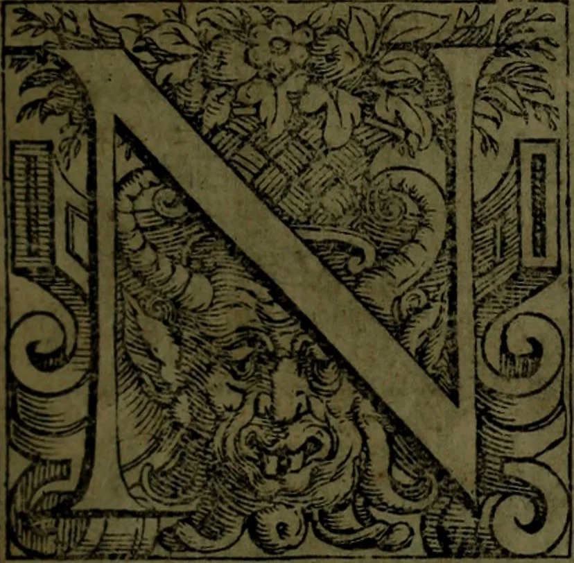 An illustration from Le Metamorfosi, 1584, leaf 120