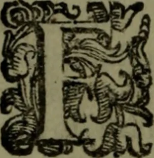 An illustration from Le Metamorfosi, 1584, leaf 13