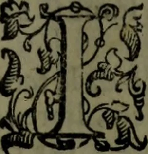 An illustration from Le Metamorfosi, 1584, leaf 14