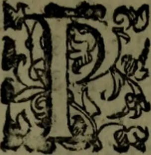 An illustration from Le Metamorfosi, 1584, leaf 16