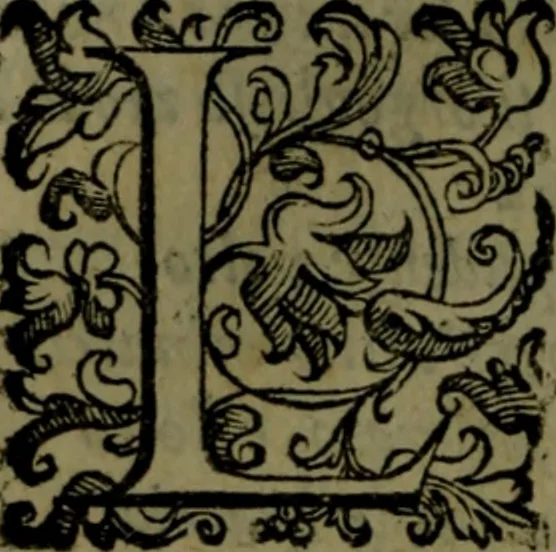 An illustration from Le Metamorfosi, 1584, leaf 199