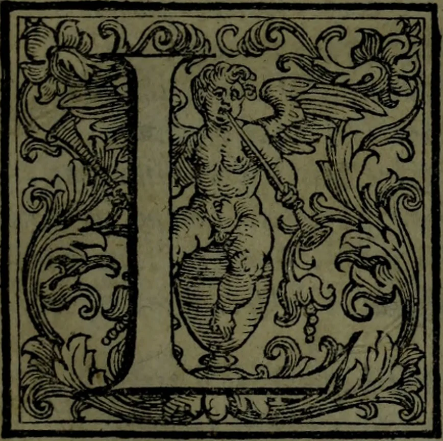An illustration from Le Metamorfosi, 1584, leaf 20