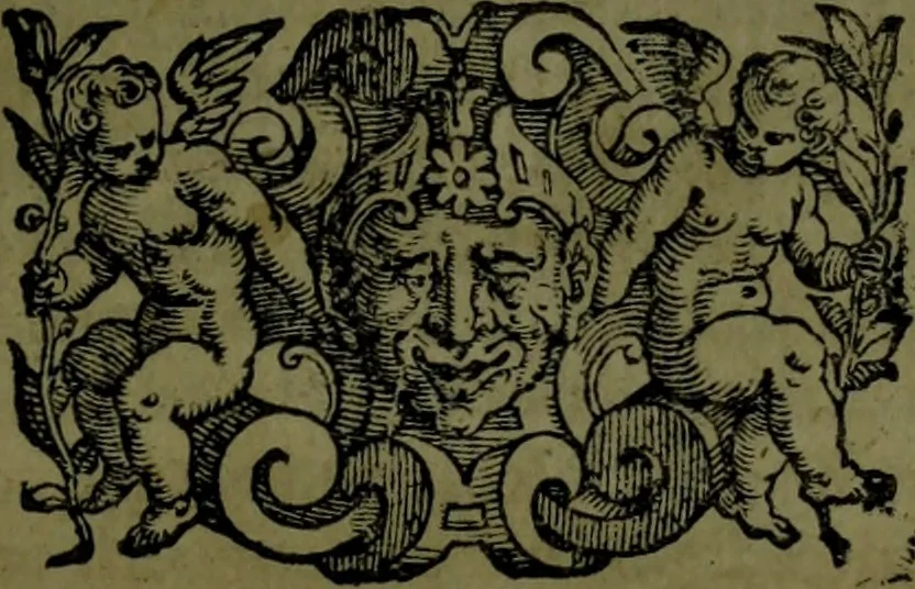 An illustration from Le Metamorfosi, 1584, leaf 202