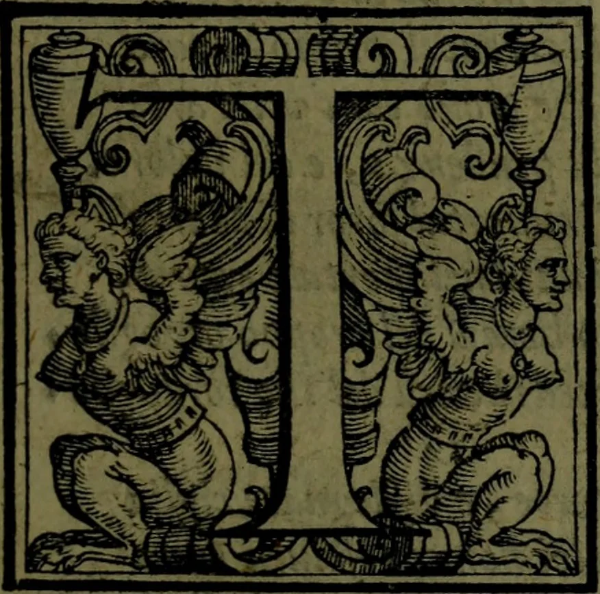 An illustration from Le Metamorfosi, 1584, leaf 204