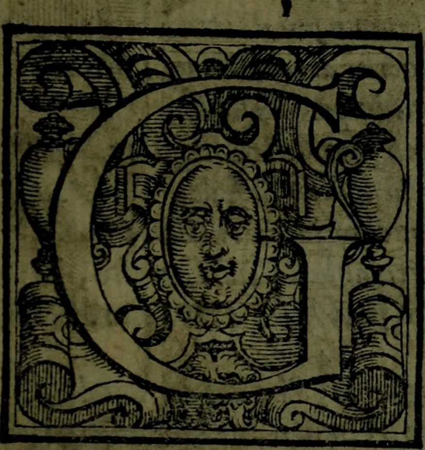 An illustration from Le Metamorfosi, 1584, leaf 250
