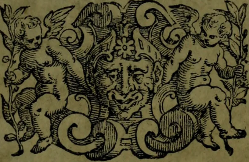 An illustration from Le Metamorfosi, 1584, leaf 286