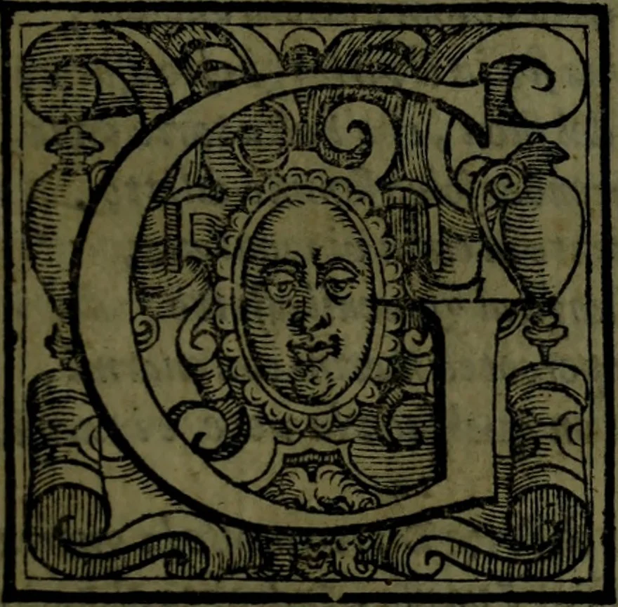 An illustration from Le Metamorfosi, 1584, leaf 288