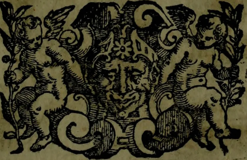 An illustration from Le Metamorfosi, 1584, leaf 330