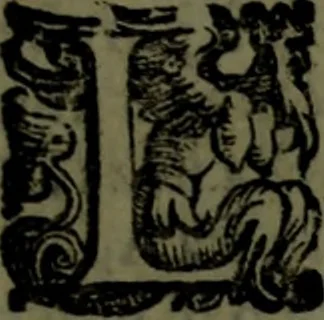 An illustration from Le Metamorfosi, 1584, leaf 406