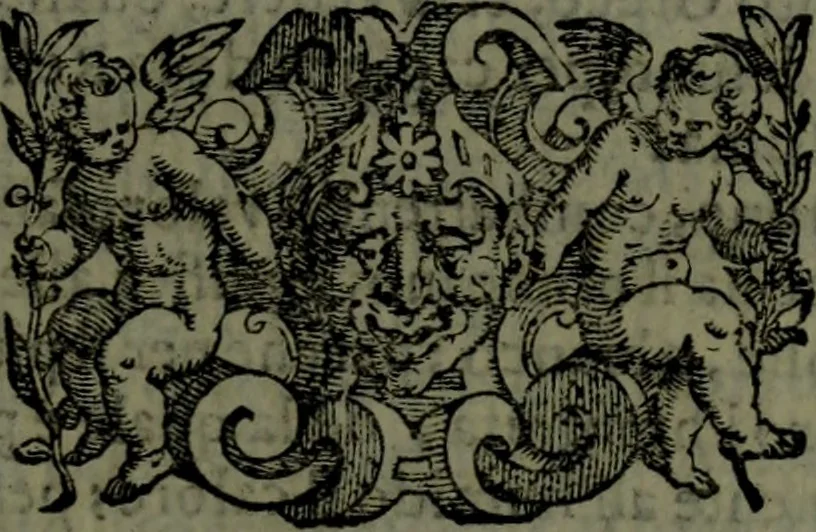 An illustration from Le Metamorfosi, 1584, leaf 462