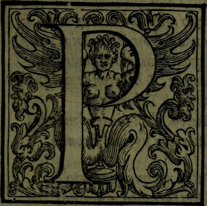 An illustration from Le Metamorfosi, 1584, leaf 466