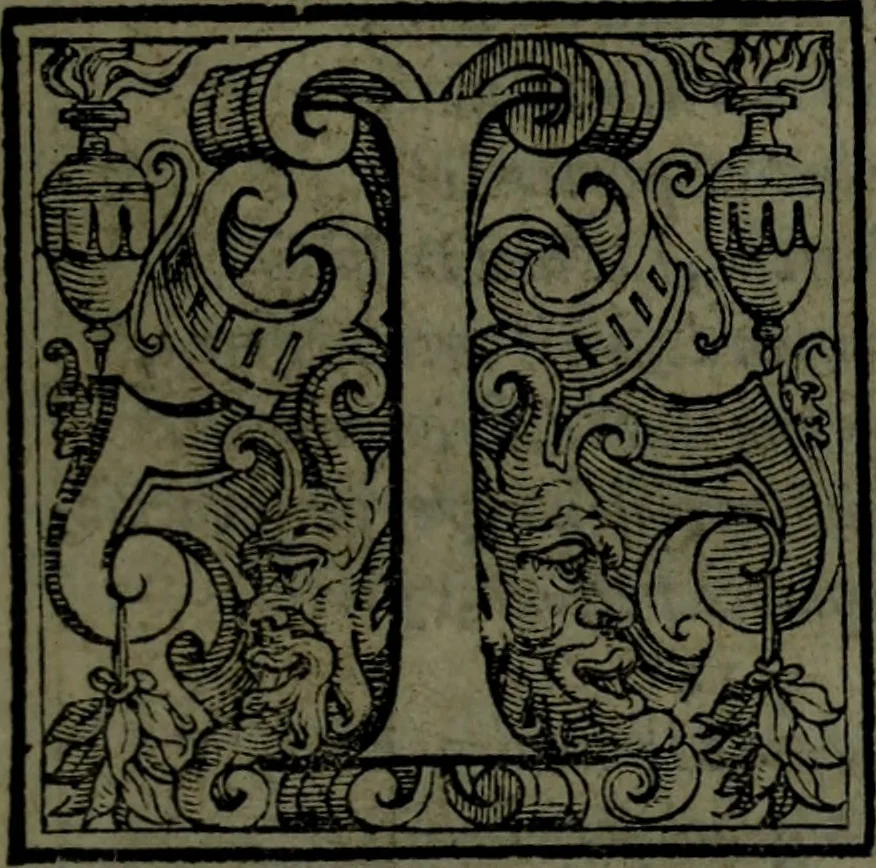An illustration from Le Metamorfosi, 1584, leaf 48