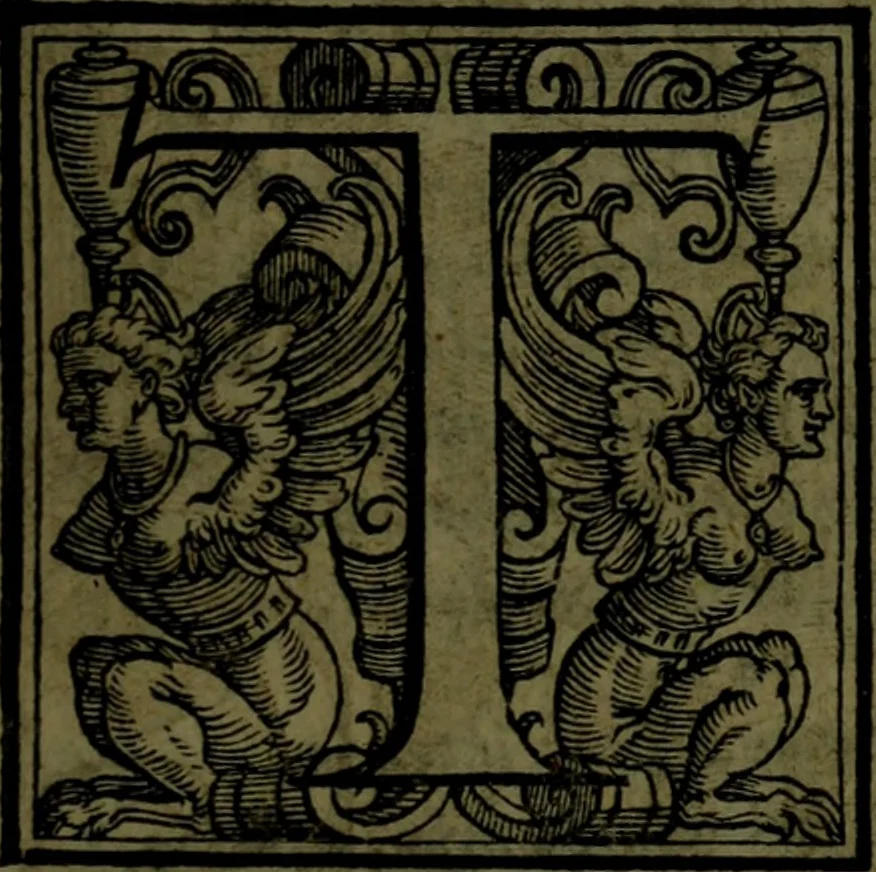 An illustration from Le Metamorfosi, 1584, leaf 502