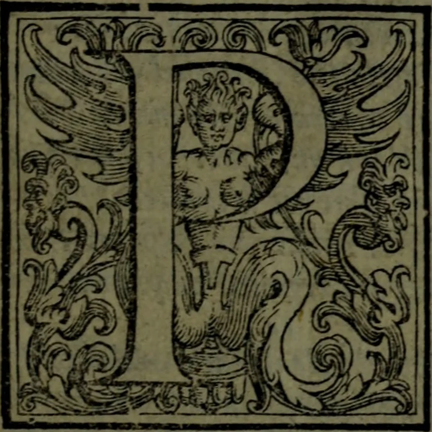 An illustration from Le Metamorfosi, 1584, leaf 540
