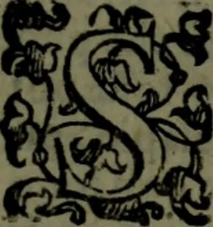 An illustration from Le Metamorfosi, 1584, leaf 564