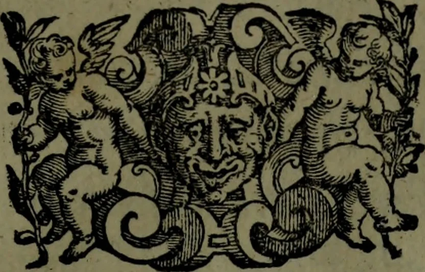 An illustration from Le Metamorfosi, 1584, leaf 6