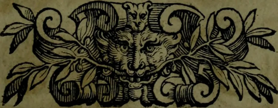 An illustration from Le Metamorfosi, 1584, leaf 84