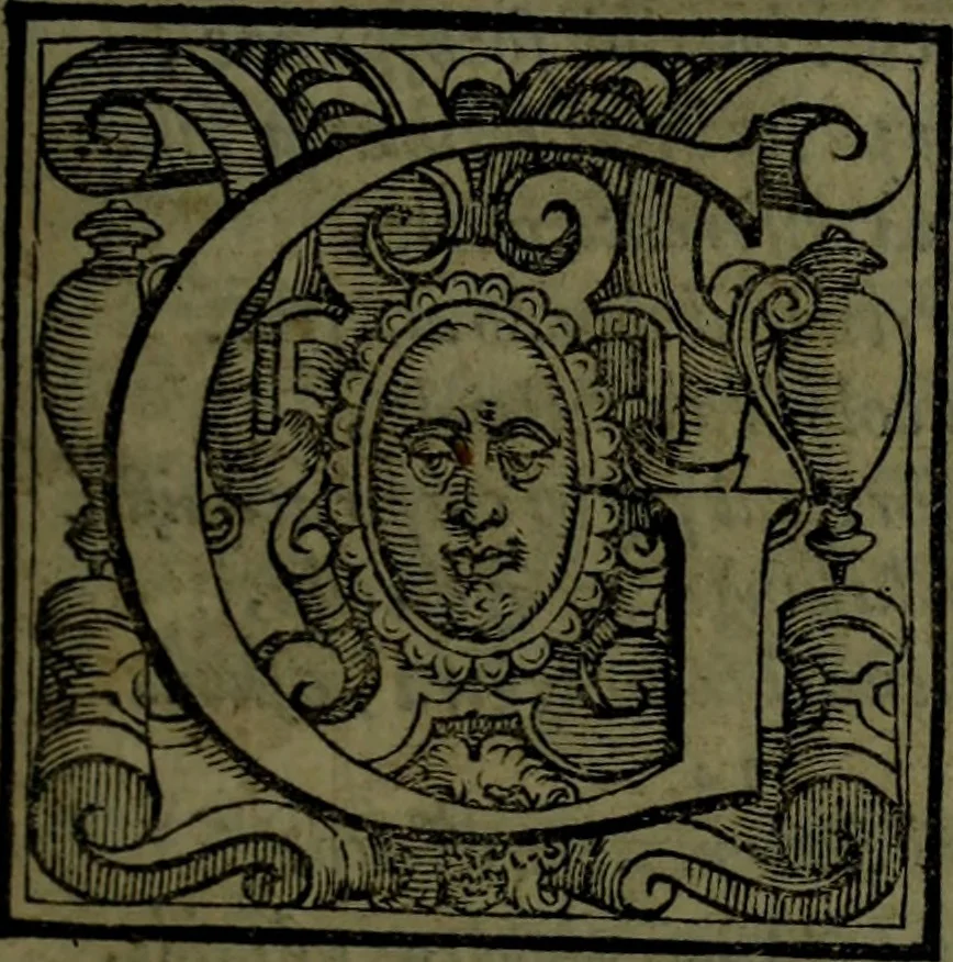 An illustration from Le Metamorfosi, 1584, leaf 86