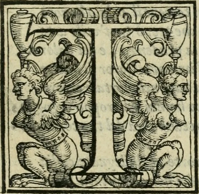 An illustration from Le metamorfosi di Ovidio, 1584, leaf 204