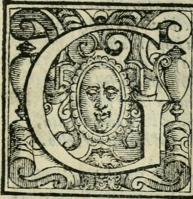 An illustration from Le metamorfosi di Ovidio, 1584, leaf 250