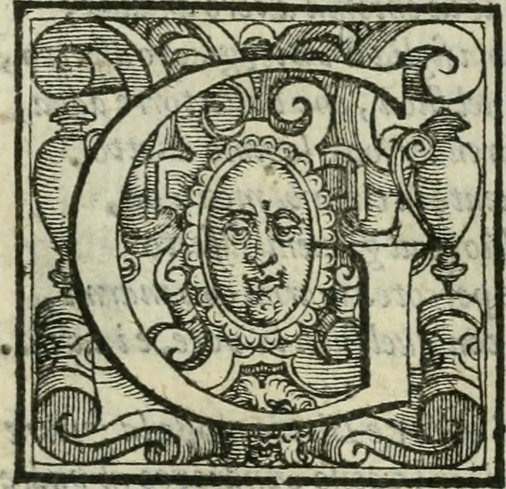 An illustration from Le metamorfosi di Ovidio, 1584, leaf 288